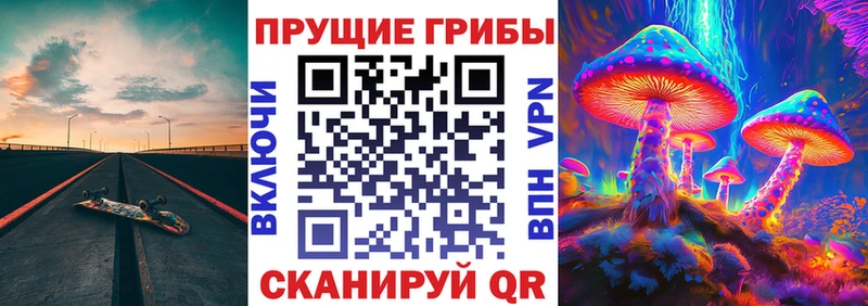 Купить  Разумное  Галлюциногенные грибы GOLDEN TEACHER 